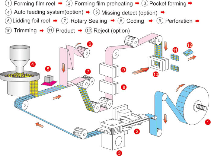 PTP Blister Packaging Process